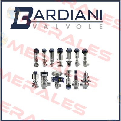 rubber for valve 99-01/A 03907 Bardiani Valvole