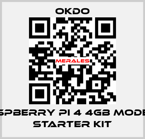 Raspberry Pi 4 4GB Model B Starter Kit Okdo