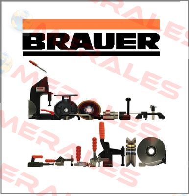 NTS0645 Brauer