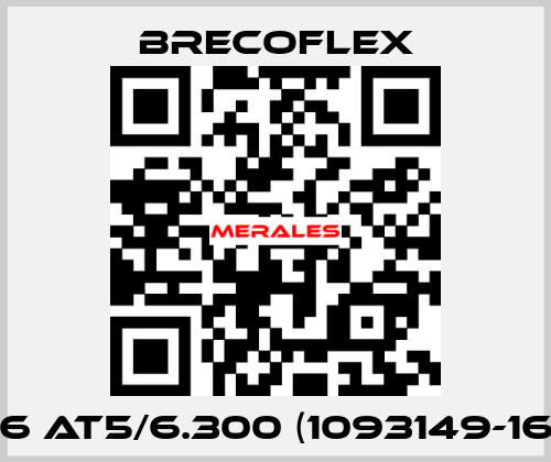 16 AT5/6.300 (1093149-16) Brecoflex