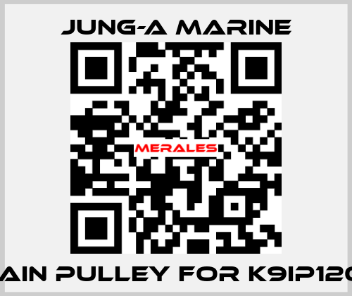 main pulley for K9IP120F JUNG-A MARINE