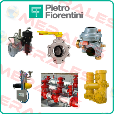 4903451 / Maintenance kit AR100 Pietro Fiorentini