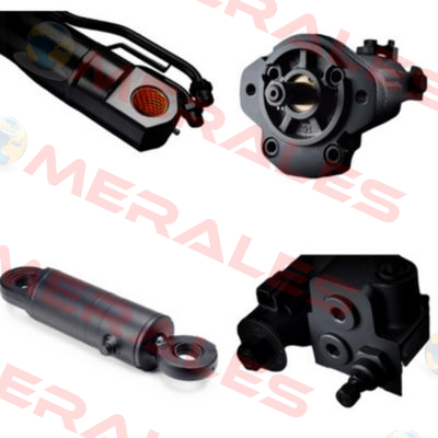 1PLL54-54DE10R Roquet pump