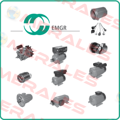 2-FL-brake für Motor:  DKF 80LX2-F/973-5TK/53 EMGR