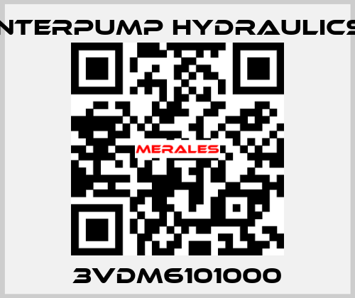 3VDM6101000 Interpump hydraulics