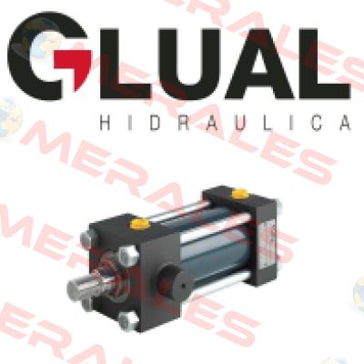 KR 50/28X400-D308-G-1-F-1-10 Glual Hydraulics