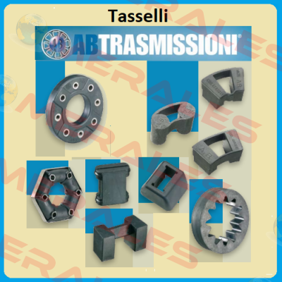 4080010 Tasselli