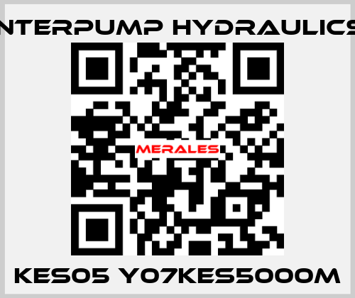 KES05 Y07KES5000M Interpump hydraulics