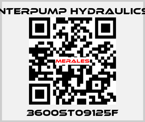 3600ST09125F Interpump hydraulics