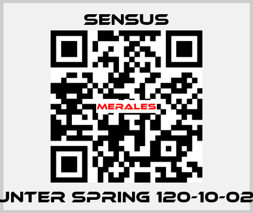 Counter spring 120-10-021-10 Sensus