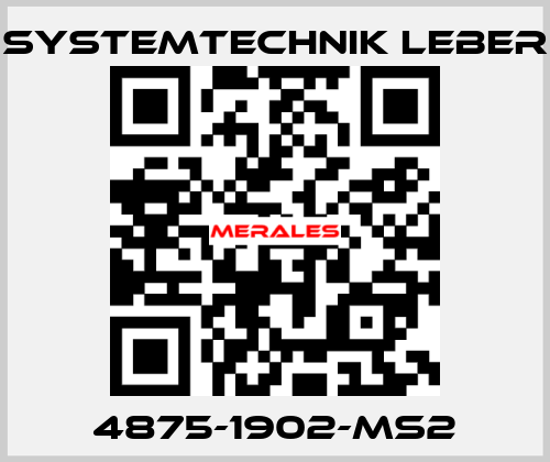 4875-1902-MS2 Systemtechnik LEBER