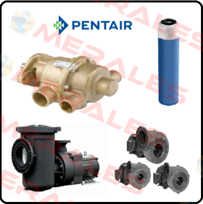 VA500-13-250-25-G-S-33A-41-174 Pentek (Pentair)