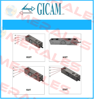 TS5-1000K Gicam