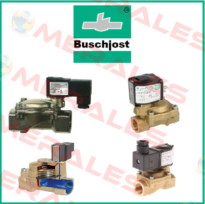 BAU10011 / D43231001.012XX Buschjost