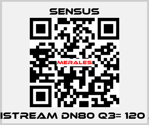 Meistream DN80 Q3= 120 m3 Sensus