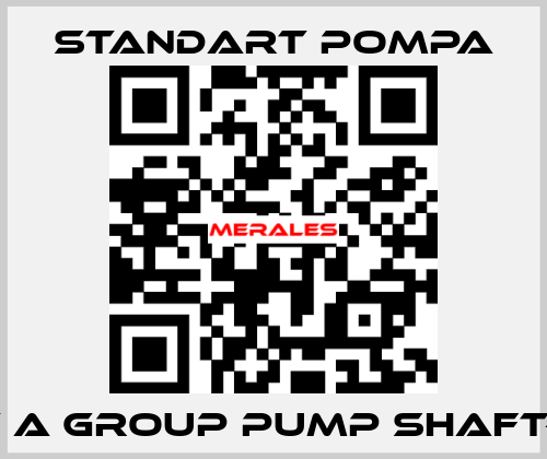 SNT A GROUP PUMP SHAFT-316 STANDART POMPA