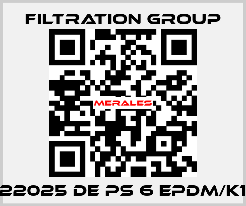 PI 22025 DE PS 6 EPDM/K197 Filtration Group