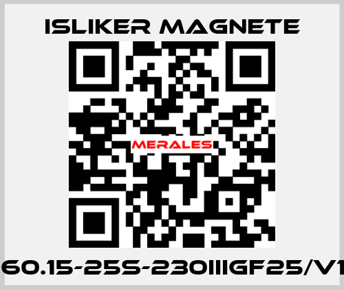 GIs-60.15-25S-230IIIGF25/V1474 ISLIKER MAGNETE