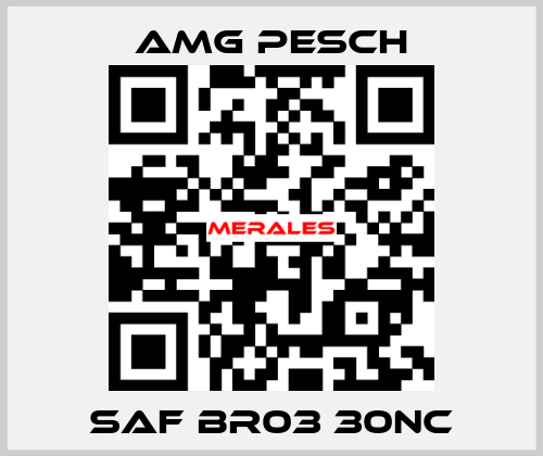 SAF BR03 30NC AMG Pesch