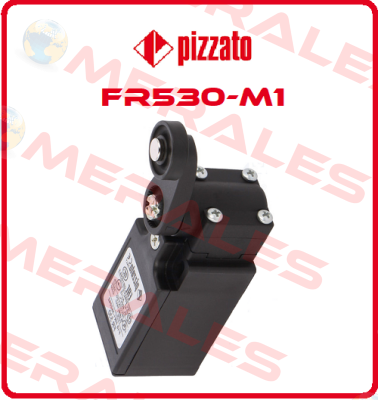 FR530-M1 Pizzato Elettrica