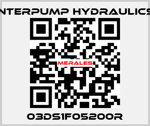 03DS1F05200R Interpump hydraulics