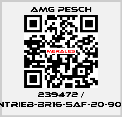 239472 / AMG-Antrieb-BR16-SAF-20-90-01-n=12 AMG Pesch