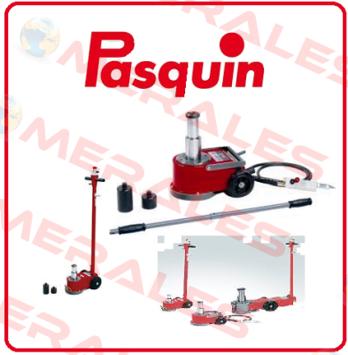 Pump for P152C Pasquin