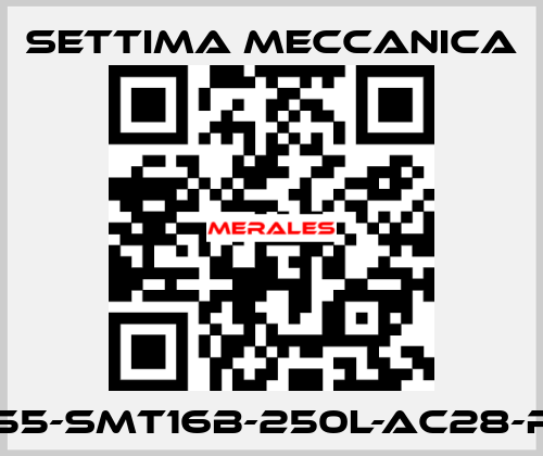 GR55-SMT16B-250L-AC28-RF2 Settima Meccanica