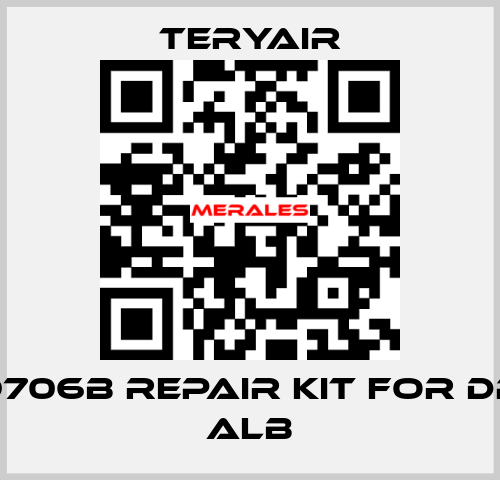 1639706B Repair kit for DP-25 ALB TERYAIR