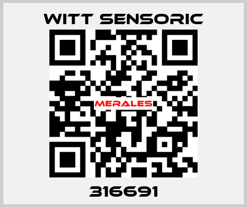 316691 Witt Sensoric