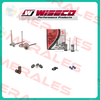 1.4Tsi Zrp Rods - H beam ea111 Wiseco