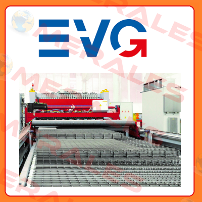 10002886 Evg