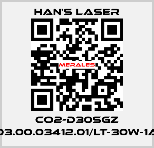 CO2-D30SGZ 03.00.03412.01/LT-30W-1A Han's Laser