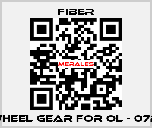 flywheel gear for OL - 072106  Fiber