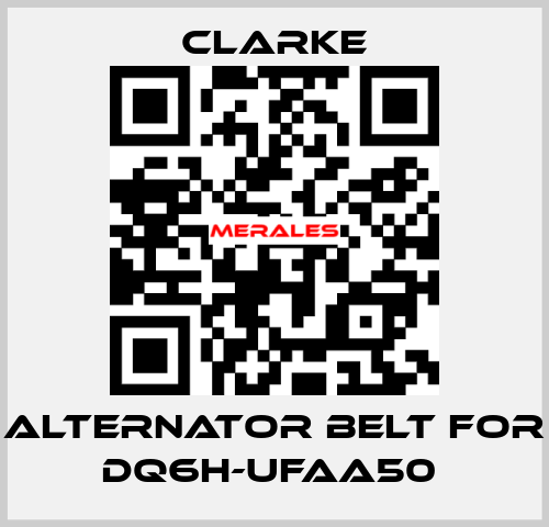 Alternator Belt for DQ6H-UFAA50  Clarke