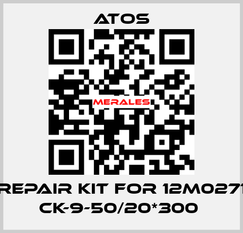 REPAIR KIT FOR 12M0271 CK-9-50/20*300  Atos