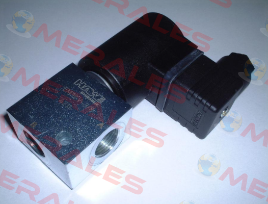 EM 12 V-3/8-G 24 Hawe