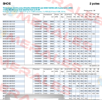 SHOE 50-160/110/D (104526770) Lowara