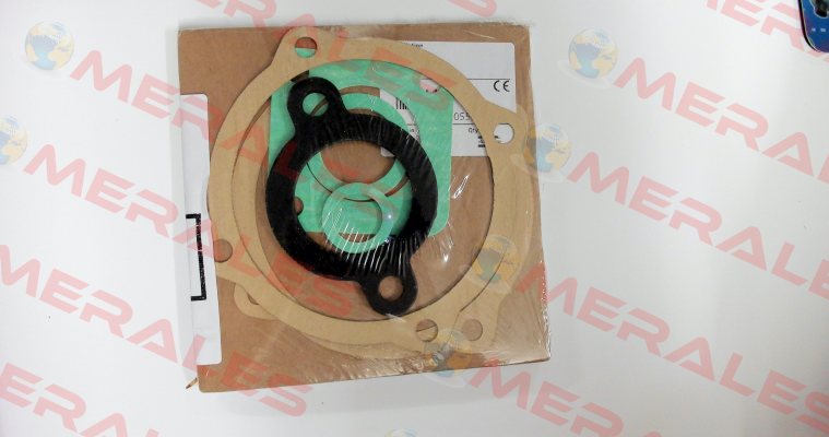 4810013988 Varisco pumps