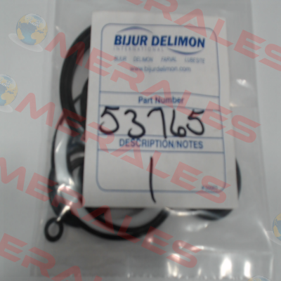 53765 Bijur Delimon