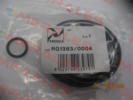 RG1383/0004 Pneumax