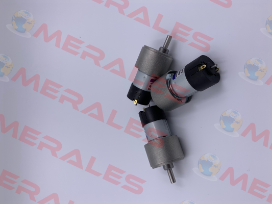 RH158.24.100 Micro Motors