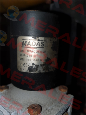 EVP02 202 Madas