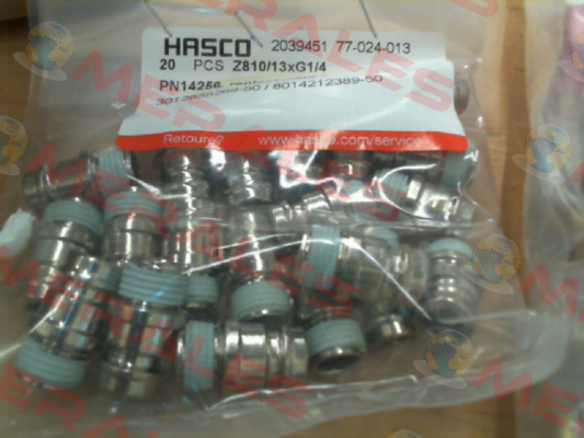 2039451 (Z810/13xG1/4) Hasco