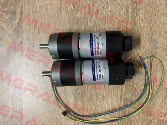 E192-2S.24.125 Micro Motors