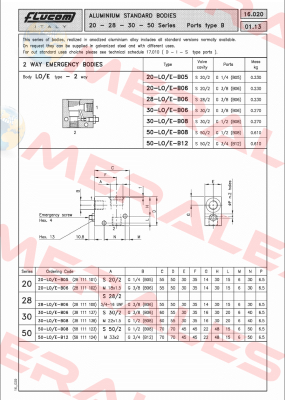 28 LO E B06 Flucom