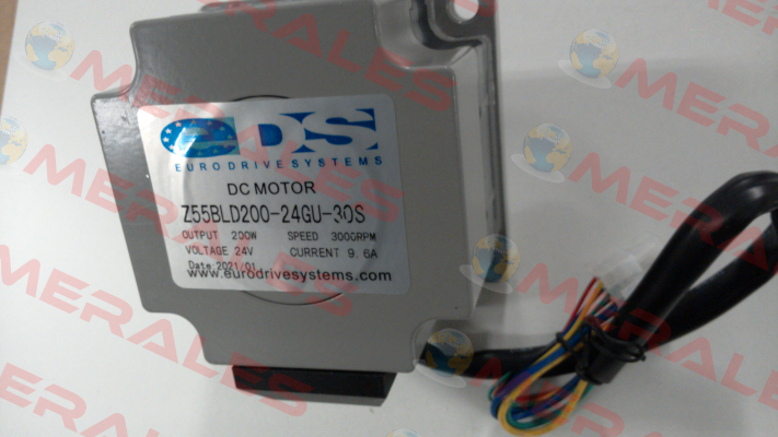 Z5BLD200 200W 24V 3000 rpm ZD-Motors