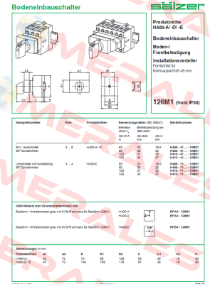 H410-41300-126M1 Salzer