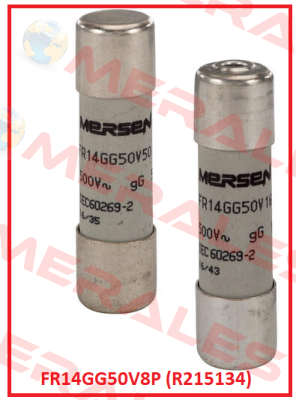 FR14GG50V8P (R215134) Mersen