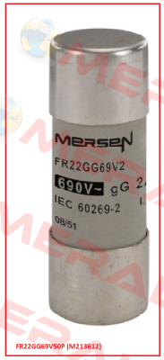 FR22GG69V50P (M213612)  Mersen